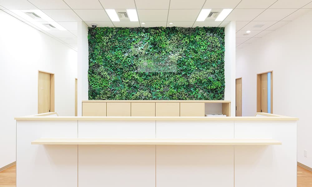 ルシアクリニックの受付